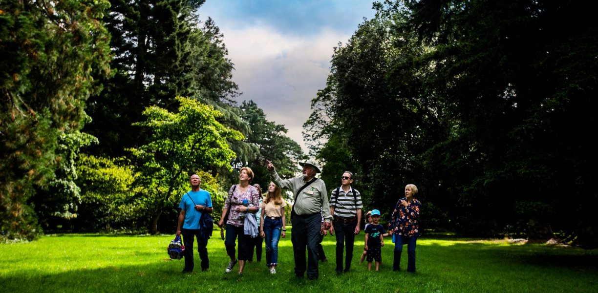 Westonbirt Arboretum credit Johnny Hathaway